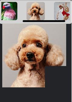 Brain Sliding Puzzle - Screenshot 1