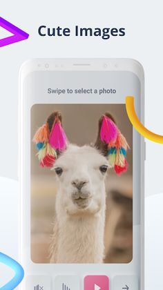 Aww Puzzle - Screenshot 2