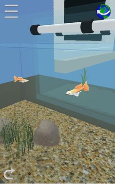 My Guppy - Screenshot 3