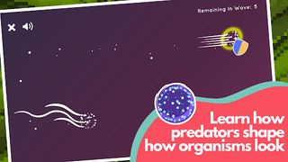 Eat Prey Live - Screenshot 1