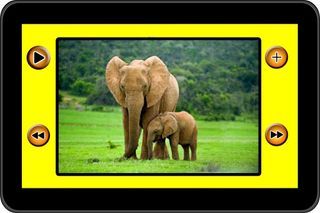 1000+ Animal Sounds - Screenshot 1