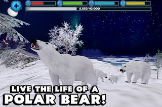 Polar Bear Simulator - Screenshot 1