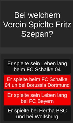 Fußball und Integration - Screenshot 3