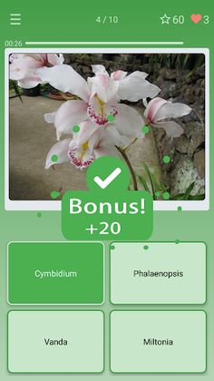Quiz: Flowers, Plants - Screenshot 2