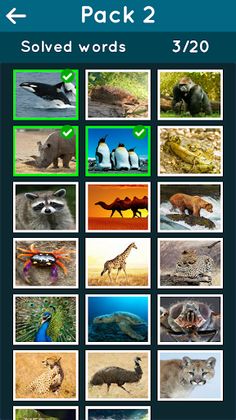 Animal Kingdom Guessing Game - Screenshot 4