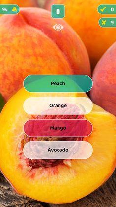 PhotoQuiz - Screenshot 3