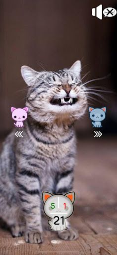 Cat's Nerd - Screenshot 2