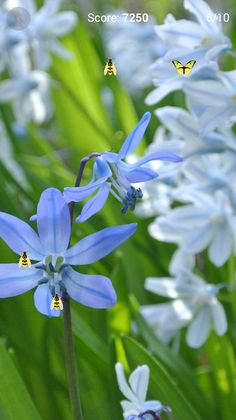 Brain Games - Screenshot 2