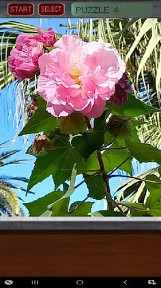 Flower Puzzle - Screenshot 4