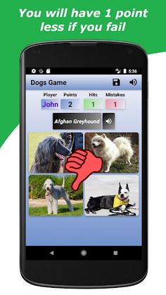 Dogs Game - Screenshot 4