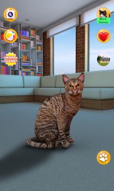 Talking Somali Cat - Screenshot 2