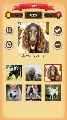 Dogs Quiz - Screenshot 2