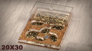 Ant Farm Simulator - Screenshot 1