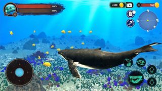 The Humpback Whales - Screenshot 3