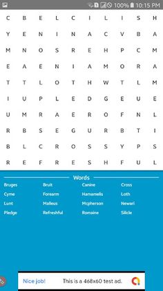 Word Search Puzzle - Screenshot 4