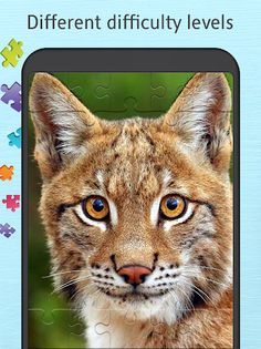 Wild animals puzzles - Screenshot 2