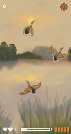 Duck Rush - Screenshot 1