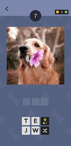 Guess The Dog Name - Screenshot 4