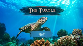 The Turtle - Screenshot 2