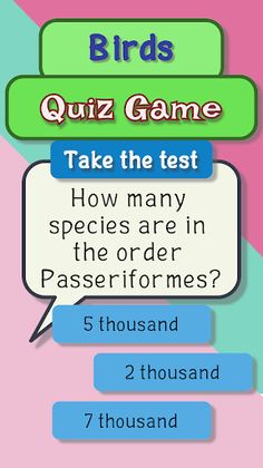 Bird quiz game - Screenshot 1