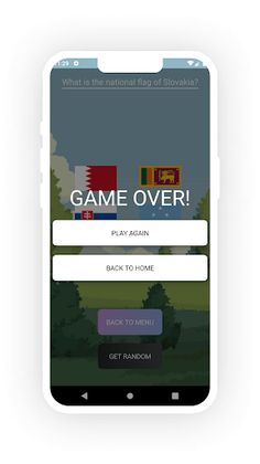 Choose The Flag - Screenshot 4