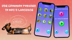 Translator for Dogs Prank - Screenshot 4