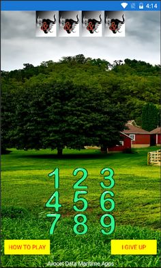 Bulls and Cows - Screenshot 1