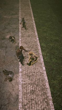 Fight Survive - Screenshot 2