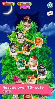 Cute Cats: Classic Match 3 - Screenshot 3