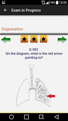 Book of Science - Screenshot 3