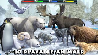 Ultimate Arctic Simulator - Screenshot 3