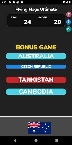 Flying Flags Ultimate - Screenshot 4