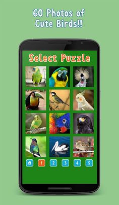 Birds Puzzle Game - Screenshot 2