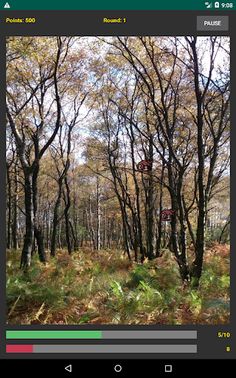 Catch the Fossa - Screenshot 3