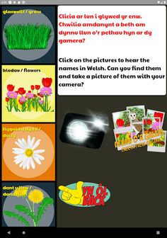 Symud Selog - Screenshot 1