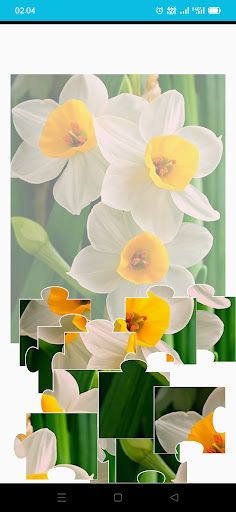 Beautiful Flower Game Puzzle - Screenshot 3