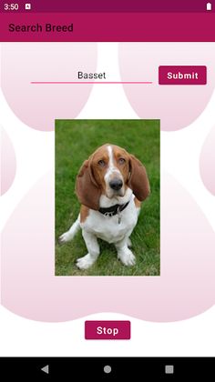 Doggo Match - Screenshot 4