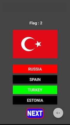 Flag Game - Screenshot 4