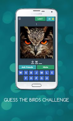 GUESS THE BIRDS CHALLENGE - Screenshot 1