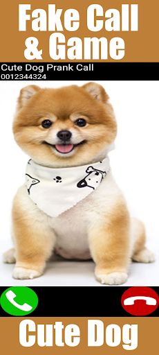 Fake Call Cute Dog Game - Screenshot 2