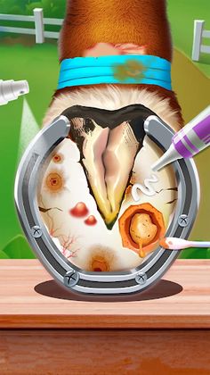 Animal Clinic - Hospital - Screenshot 2