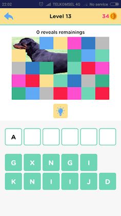 Tebak Gambar Hewan - Screenshot 4