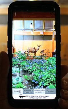 AR Perpetual Garden - Screenshot 2