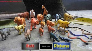 Animal Pictures and Sound - Screenshot 2