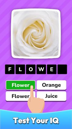 Zoom Quiz Game: Guess The Pics - Screenshot 3