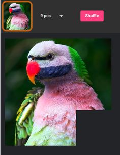 Brain Sliding Puzzle - Screenshot 2