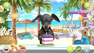 Puppy Tony: peacock floof lol - Screenshot 3