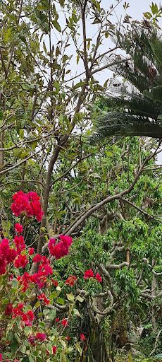 Maichel football games - Screenshot 2