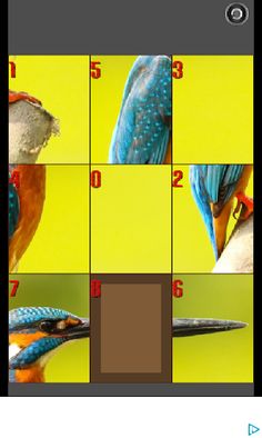 slide puzzle birds - Screenshot 3