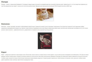 Редкие кошки - Screenshot 2